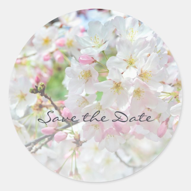 Cherry Blossom Springtime Wedding Runder Aufkleber (Vorderseite)