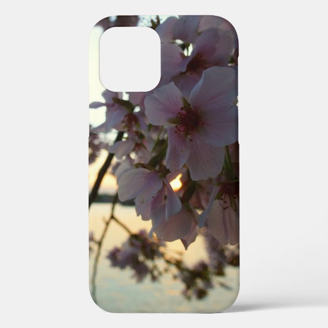 Cherry Blossom Sunset in Washington DC Case-Mate iPhone Hülle (Rückseite)