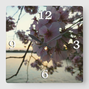 Cherry Blossom Sunset in Washington DC Quadratische Wanduhr