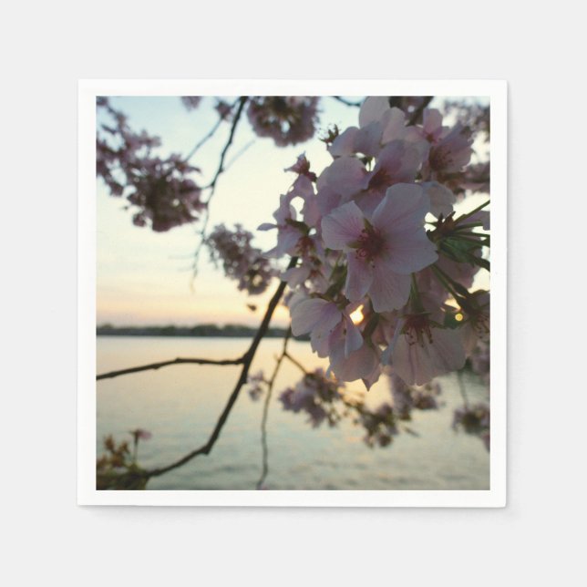 Cherry Blossom Sunset in Washington DC Serviette (Vorderseite)
