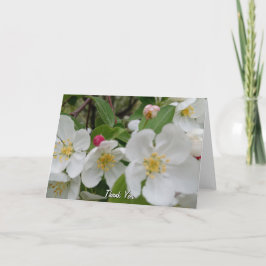 Cherry Blossom Surprise Folded Thank You Card Dankeskarte