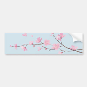 Cherry Blossom - Transparenter Hintergrund Autoaufkleber