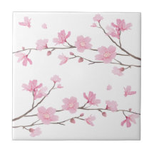 Cherry Blossom - Transparenter Hintergrund