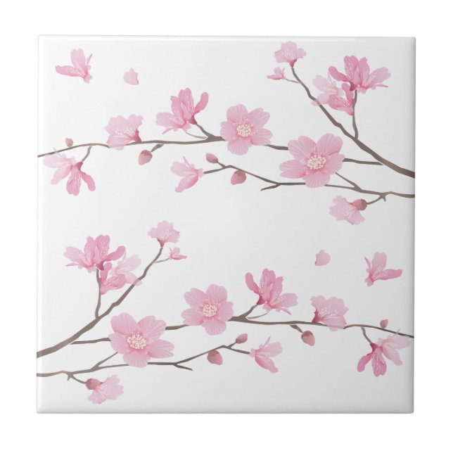 Cherry Blossom - Transparenter Hintergrund Fliese (Vorderseite)