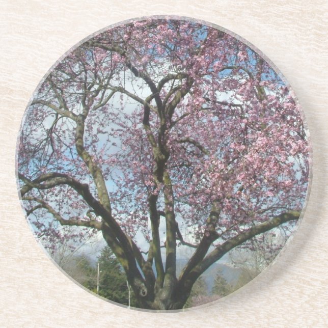 Cherry Blossom Tree, Blauer Himmel und Wolken Untersetzer (Vorne)