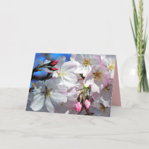 Cherry Blossom Tree Card Feiertagskarte