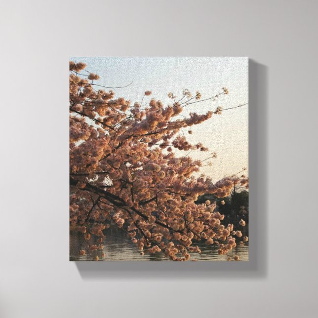 Cherry Blossom Tree Leinwand (Vorderseite)