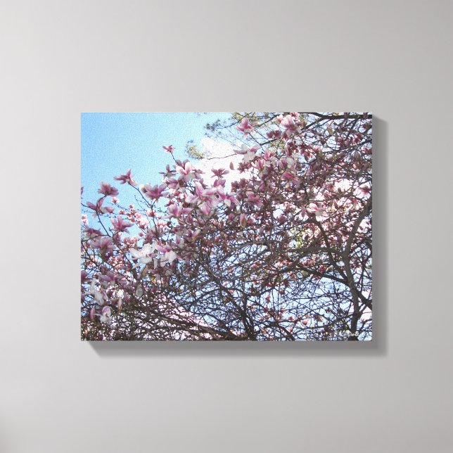 Cherry Blossom Tree Leinwanddruck (Vorderseite)