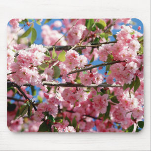 Cherry Blossom Tree Mouse Pad Mousepad