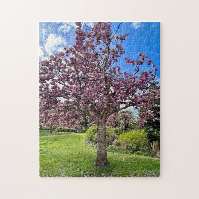 Cherry Blossom Tree Park Brighton Frühlingszeit (Vertikal)