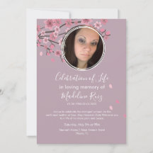 Cherry Blossom Tree Petals Feier des Lebens