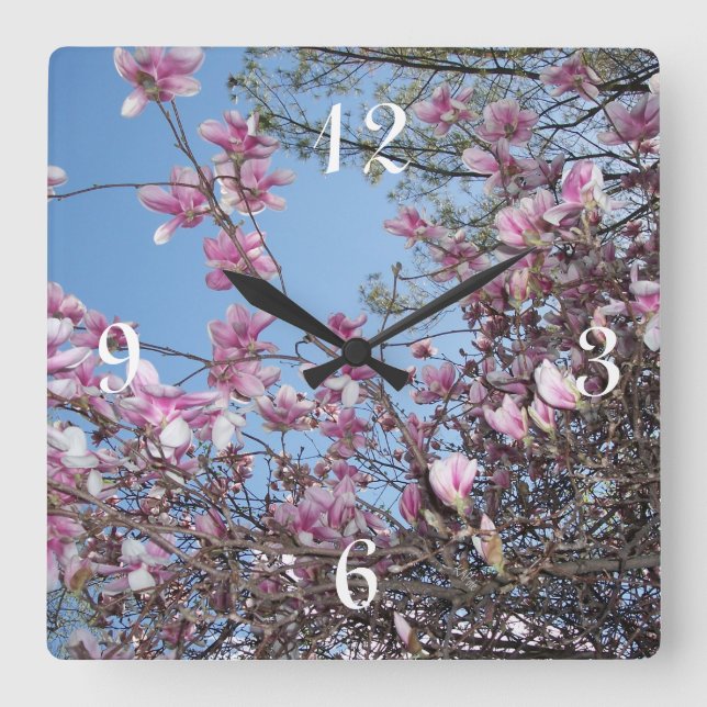 Cherry Blossom Tree Quadratische Wanduhr (Vorderseite)