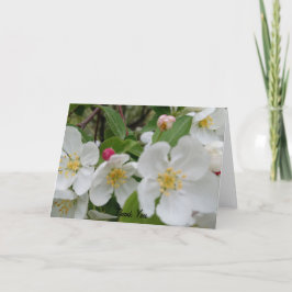 Cherry Blossom Überraschung gefaltet Danke Karte