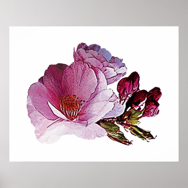 Cherry Blossom und Bud Poster (Vorne)