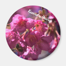 Cherry Blossom und eine Biene Magnet