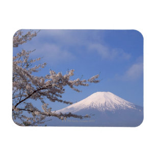 Cherry Blossom und Fuji 2 Magnet