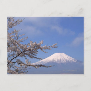 Cherry Blossom und Fuji 2 Postkarte