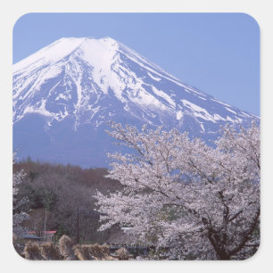 Cherry Blossom und Fuji Quadratischer Aufkleber