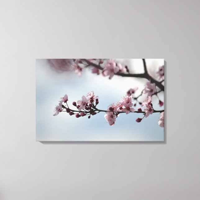 Cherry Blossom und Sky Leinwanddruck (Vorderseite)