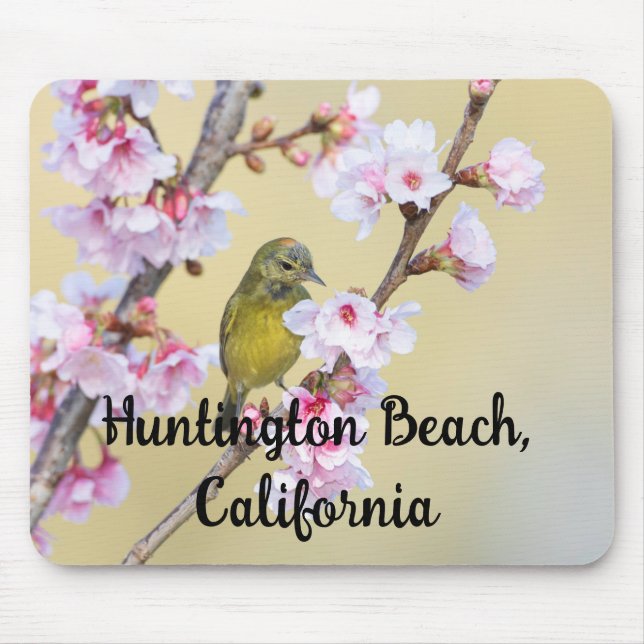Cherry Blossom und Warbler, Huntington Beach CA Mousepad (Vorne)
