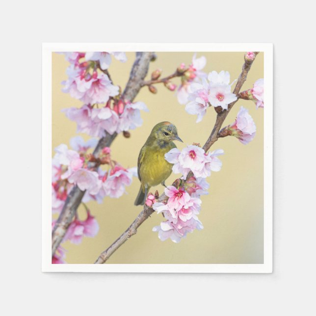 Cherry Blossom und Warbler Serviette (Vorderseite)