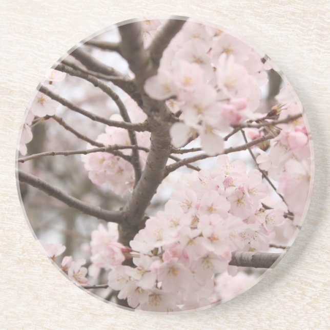 Cherry Blossom Untersetzer (Vorne)
