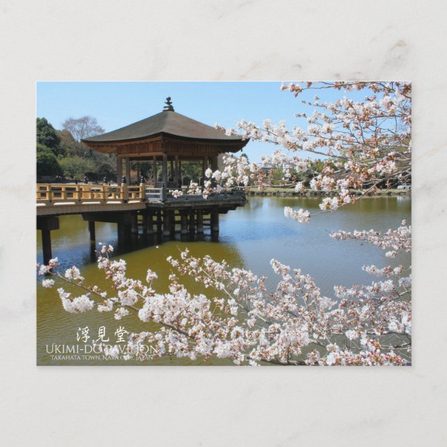 Cherry Blossom Viewing (Ukimi-do Pavillon) Postkarte (Vorderseite)