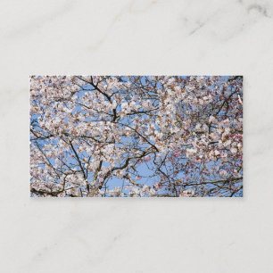 Cherry Blossom Visitenkarte