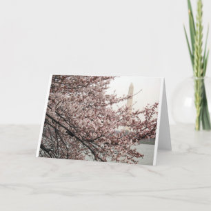 Cherry Blossom Washington DC Karte