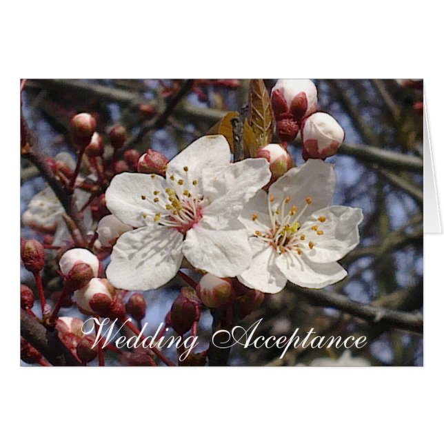 Cherry Blossom Wedding Acceptcard (Vorderseite (Horizontal))