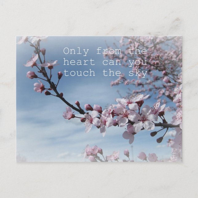 Cherry Blossom Zen Blütenbaumpostkarte Postkarte (Vorderseite)