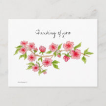 Cherry Blossom Zweigstelle Postkarte