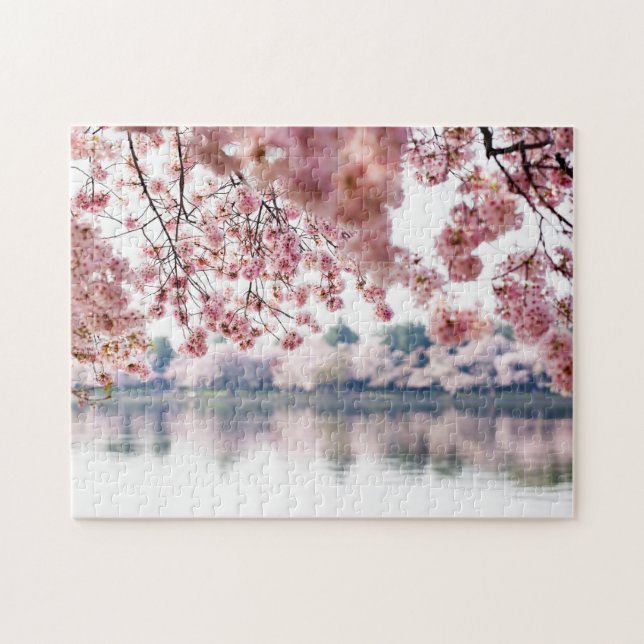Cherry Blossoms (Horizontal)