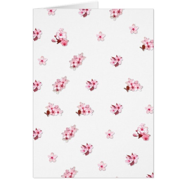 Cherry Blossoms (Vorne)