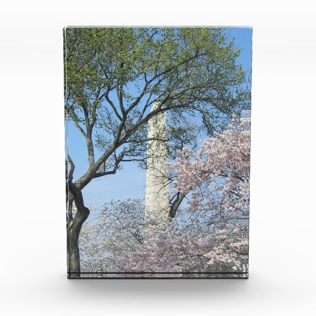 Cherry Blossoms and the Washington Monument Fotoblock (Vorderseite)