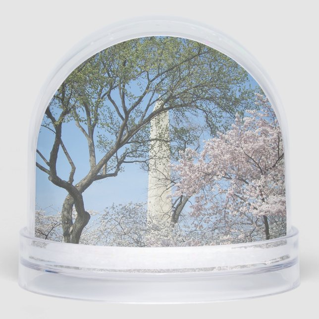 Cherry Blossoms and the Washington Monument in DC (Avant)