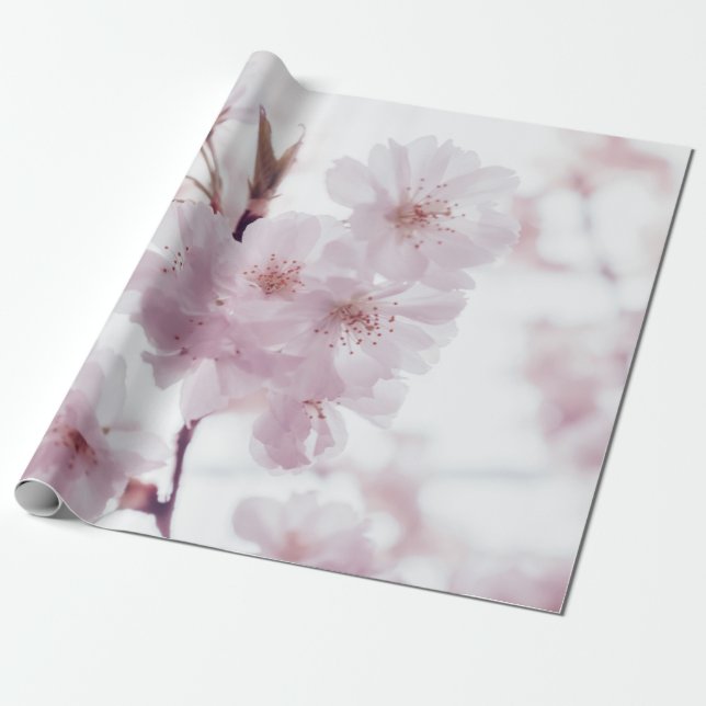 CHERRY BLOSSOMS-BLUME GESCHENKPAPIER (Ungerollt)