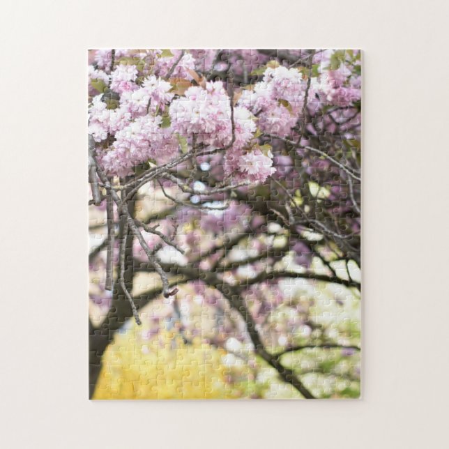 Cherry Blossoms Duncan Terrace Gardens London UK (Vertikal)