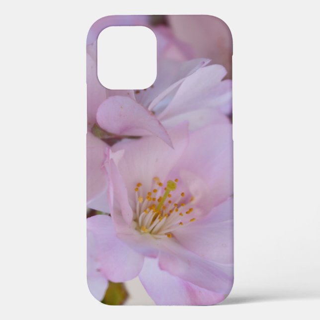 Cherry Blossoms Geschenkboxen Case-Mate iPhone Fal Case-Mate iPhone Hülle (Rückseite)