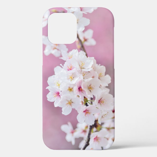 Cherry Blossoms Geschenkboxen Case-Mate iPhone Fal Hülle (Rückseite)