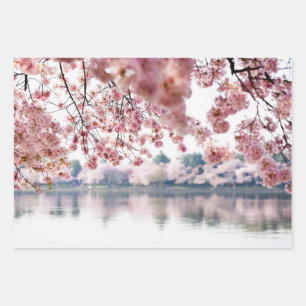 Cherry Blossoms Geschenkpapier Set