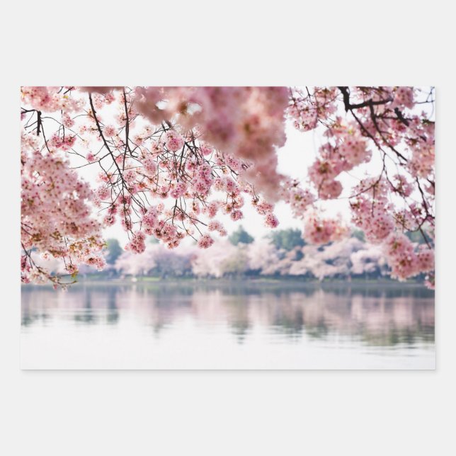 Cherry Blossoms Geschenkpapier Set (Vorderseite)