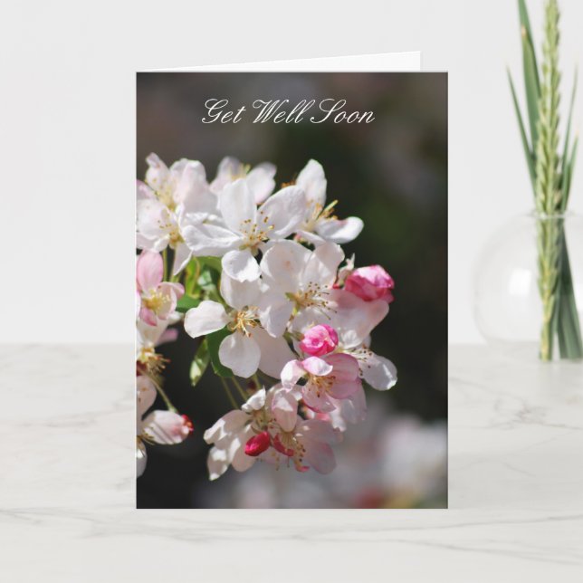Cherry blossoms Get Well Soon Karte (Vorderseite)