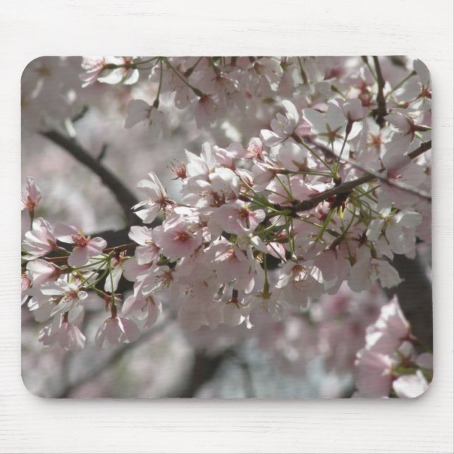 Cherry Blossoms Mousepad (Vorne)