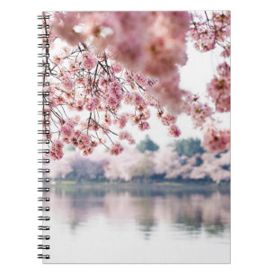 Cherry Blossoms Notizblock