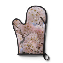 Cherry Blossoms