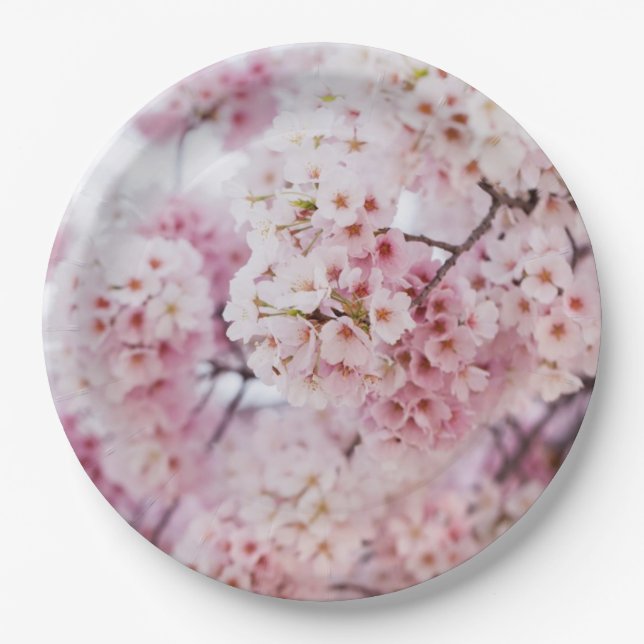 Cherry Blossoms Pappteller (Vorderseite)