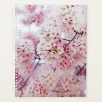 Cherry Blossoms Planer
