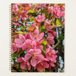 Cherry Blossoms Planer
