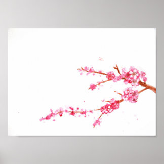 Cherry Blossoms Poster